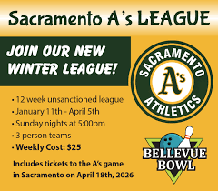 Image result for Runnymede Bowls League