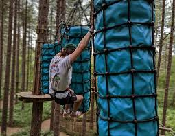 Image result for Go Ape! Thetford