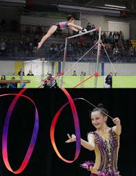 Image result for Buckingham Gymnastics Club