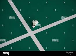 Image result for Dalton (Yorkshire) Badminton Club