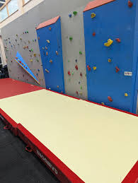 Image result for Lincoln Albion Badminton Club