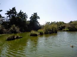 Image result for West Finchley B C