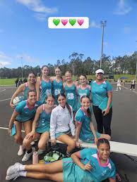 Image result for Brigg & District Netball Club