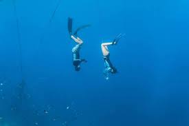 Image result for Deep Blue Diving