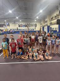 Image result for Ruxley Gymnastics Club