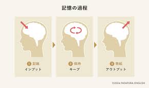 「エピソード」の画像検索結果