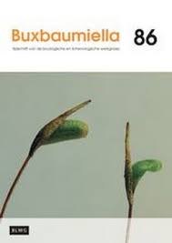 Attēlu rezultāti vaicājumam “Timmia megapolitana”