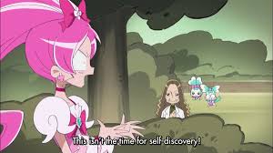 Image result for heartcatch