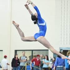 Image result for Redcar School Of Gymnastics