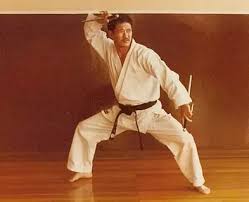 Image result for Inyo Karate Do Ninbukan