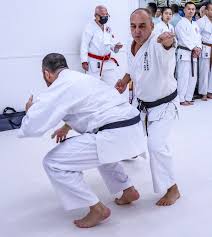 Image result for Sandokai Karate