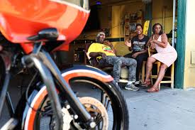 Image result for Bay Dragons CC