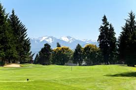 Image result for Cedars Badminton Club