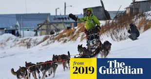 Image result for Team Ice Fire British Sled Dog Racing Team