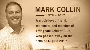 Image result for Effingham Cricket Club