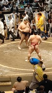 Image result for Exmouth Vikings Judo Club