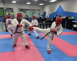 Image result for Valentin Karate
