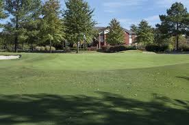 Image result for Blossom Way Sports & Social Club