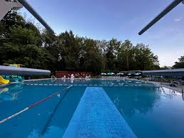 Image result for Buntingford Swimming Club