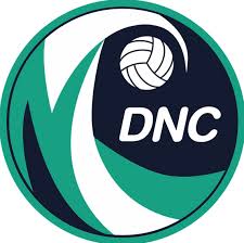 Image result for Charlestown/Adelphi Netball Club