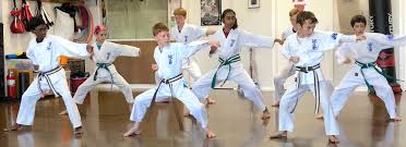 Image result for Hidden Dragon Karate-Do