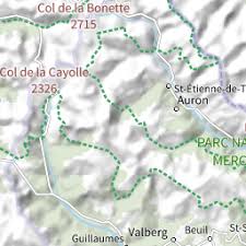 Attēlu rezultāti vaicājumam “Didea alneti”