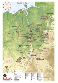 Billedresultat for kakadu n...