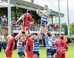 Image result for Macclesfield Rugby Union Football Club