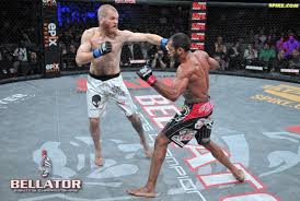 Image result for Wolverine MMA