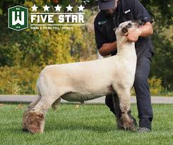 Image result for Shrivenham Smallbore Club