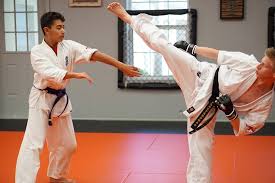 Image result for Phoenix Martial Arts