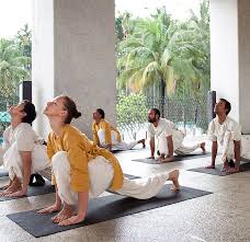 Image result for Hatha Yoga Club