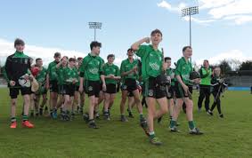 Image result for Sarsfields Hurling Club