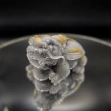 Αποτέλεσμα εικόνας για jade dragon turtle