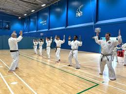 Image result for Su-Ha-Ri-Wado Karate School