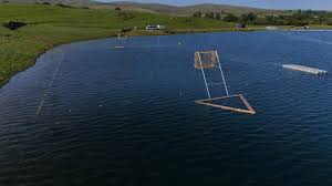 Image result for Welshpool Canoe Club