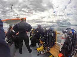 Image result for Meadurst Sub-Aqua Club