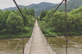 Image result for PONT DE SINGE
