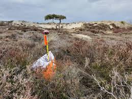 Image result for Wessex Orienteering Club