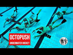 Image result for Leeds Free Divers Octopush Club