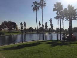 Image result for Belvedere Park Junior Football Club