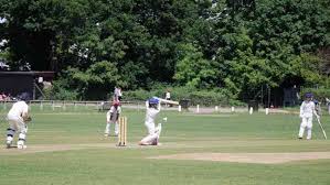Image result for Kingstonian Cricket Club