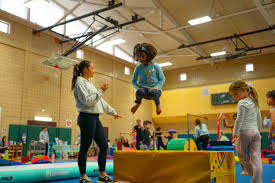 Image result for Redcar School Of Gymnastics