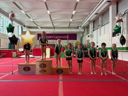 Image result for Sutton Gymnastics Academy