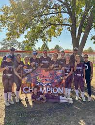 Image result for Lumley Ladies Football Club