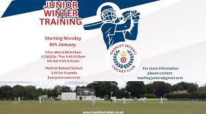 Image result for Bashley (Rydal) Cricket Club