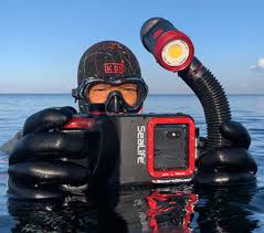 Image result for Plymouth Aquanauts