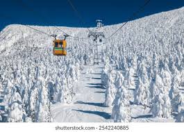 Картинки по запросу япония снег дороги