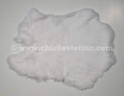 Image result for white rabbit skin texture
