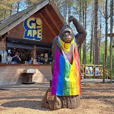 Image result for Go Ape! Moors Valley